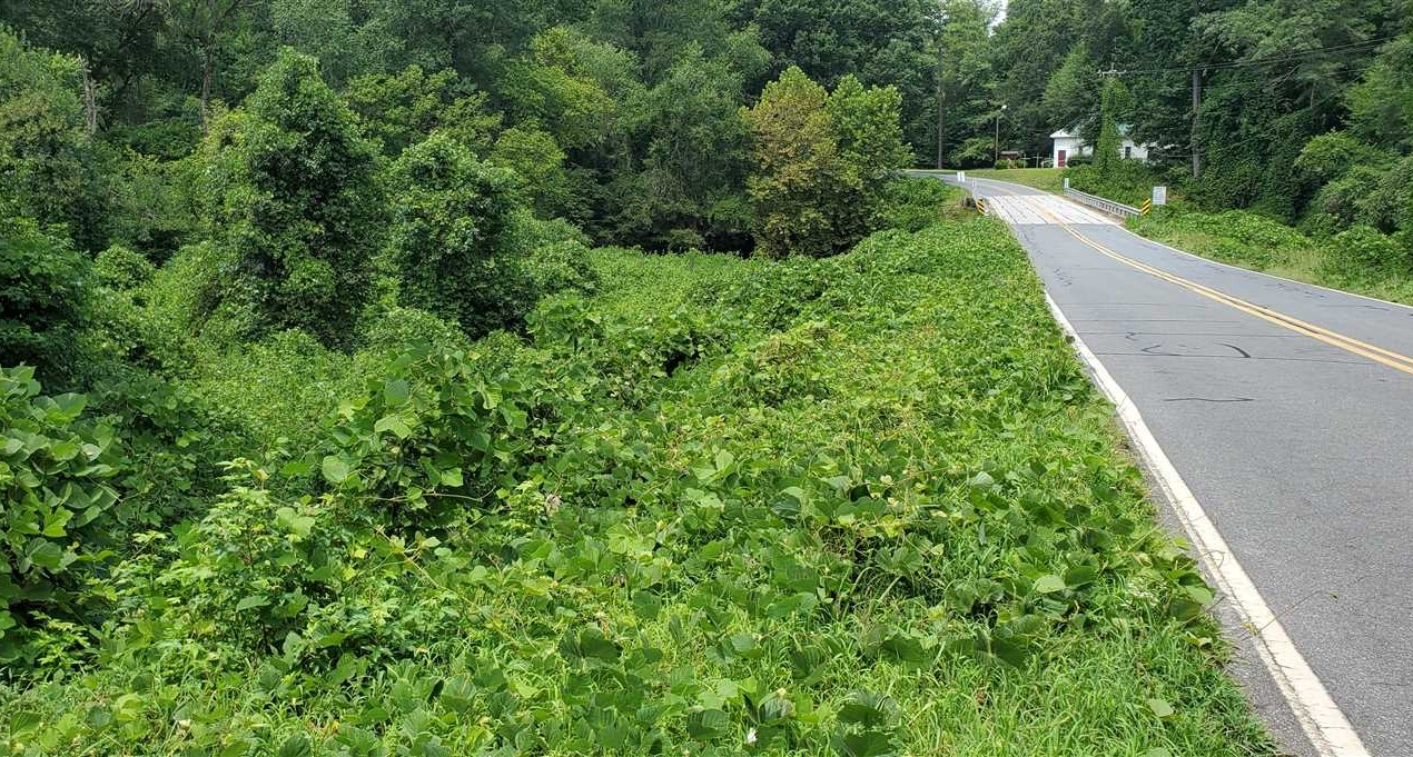 Property for sale at near 197 Hogan Road