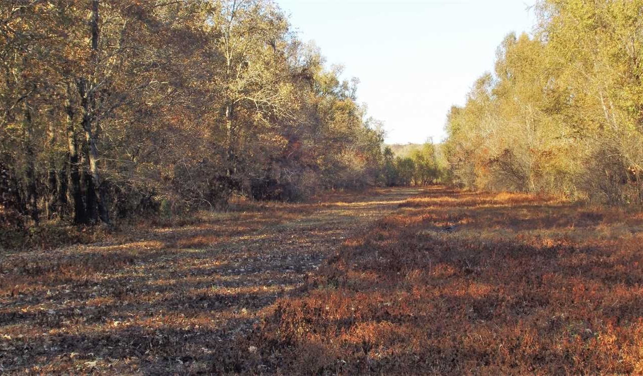 1640 Acres of Land for Sale in bossier County Louisiana