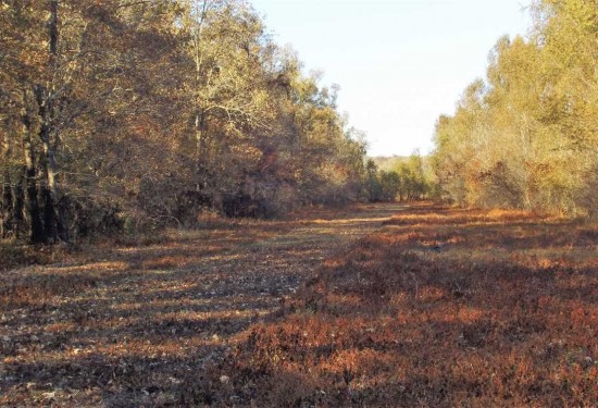 1640 Acres of Land for Sale in bossier County Louisiana