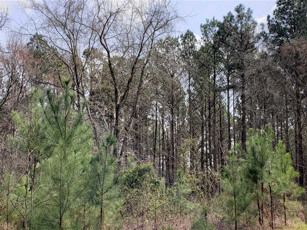 Land for sale at 00 Woodland Park Road