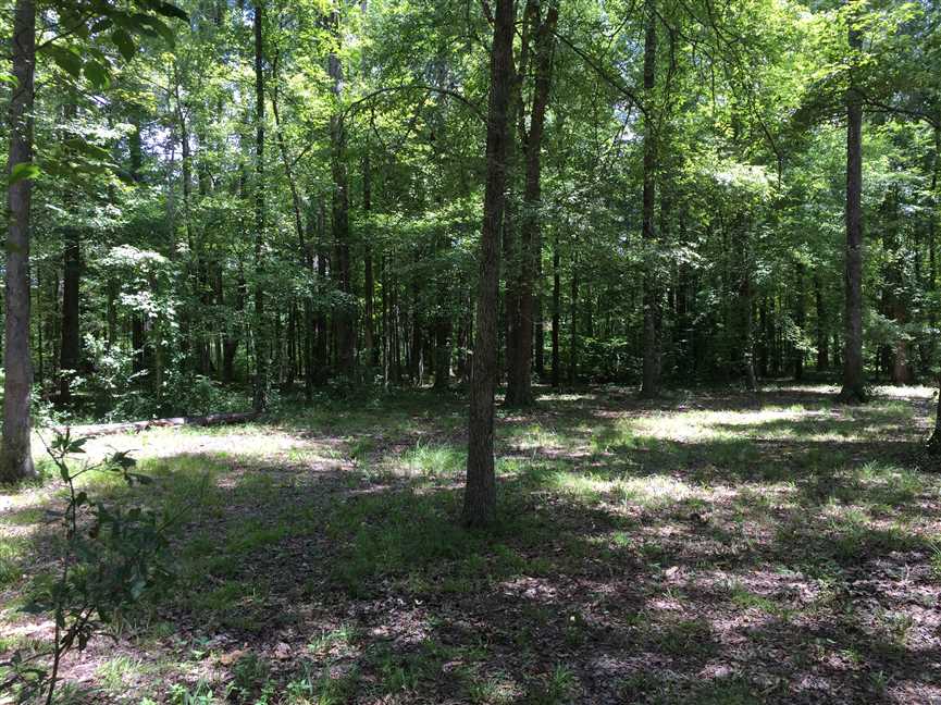2.68 Acres of Residential land for sale in Farmerville, union County, Louisiana