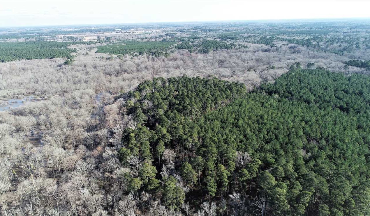 Bodcau Hills at Farmer Road, Bossier Parish, 75 Acres +/- Real estate listing