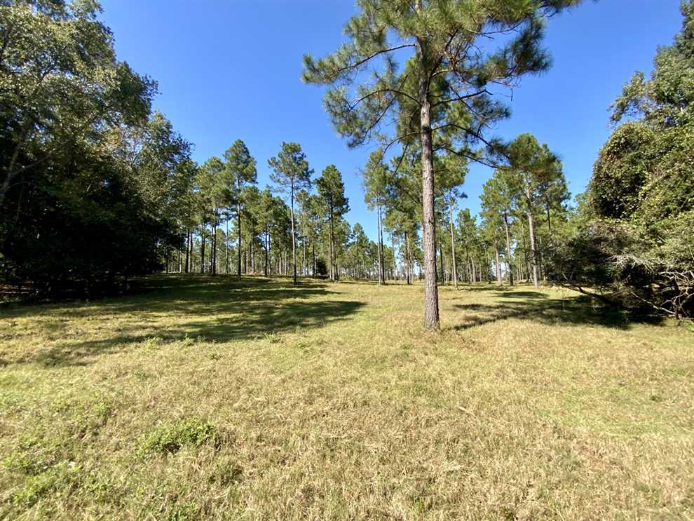 Houses and land for sale in Florida