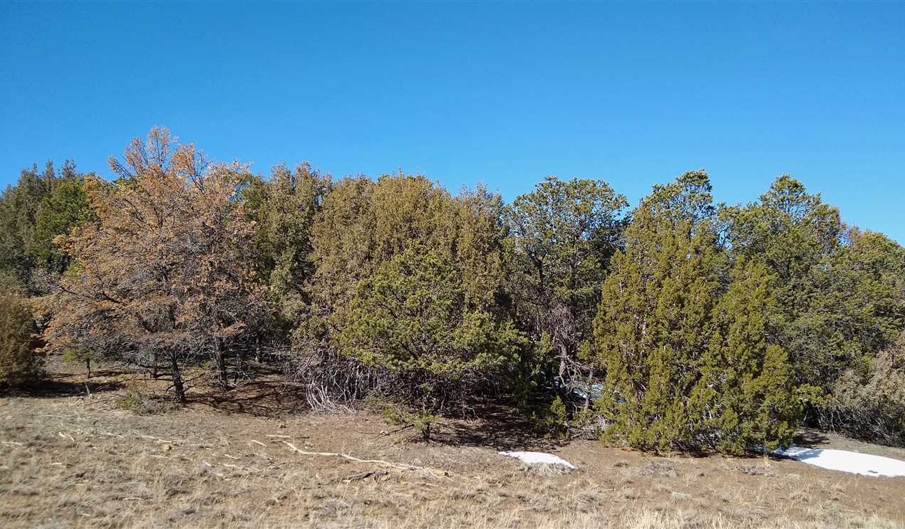 35 Acres of Residential land for sale in Aguilar, las animas County, Colorado