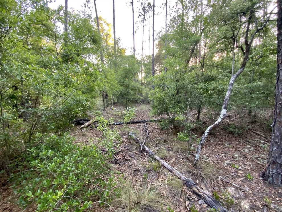 4.54 Acres of Land for sale in dixie County, Florida