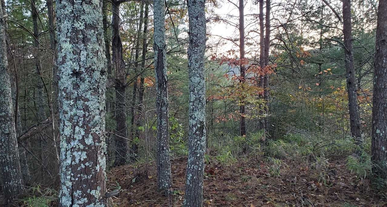 10 Acres of Land for sale in caldwell County, North Carolina