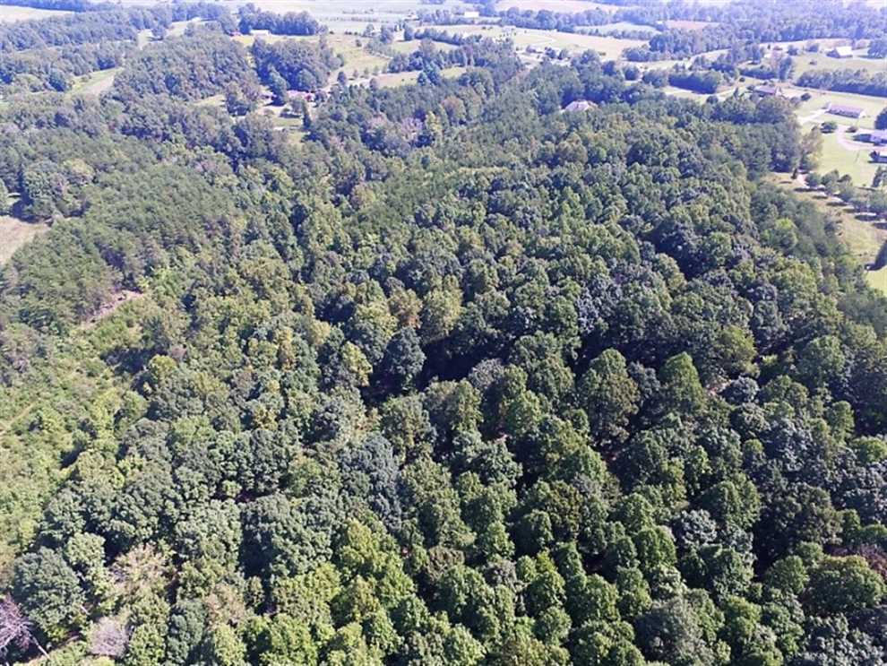 35.5 Acres of Land for sale in bedford County, Virginia