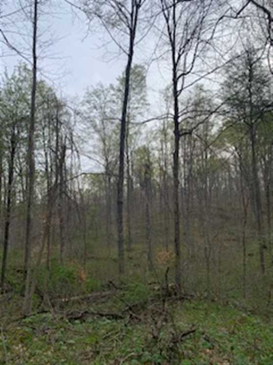 Land For Sale in Owen County, IN 14 Acres +/- Real estate listing