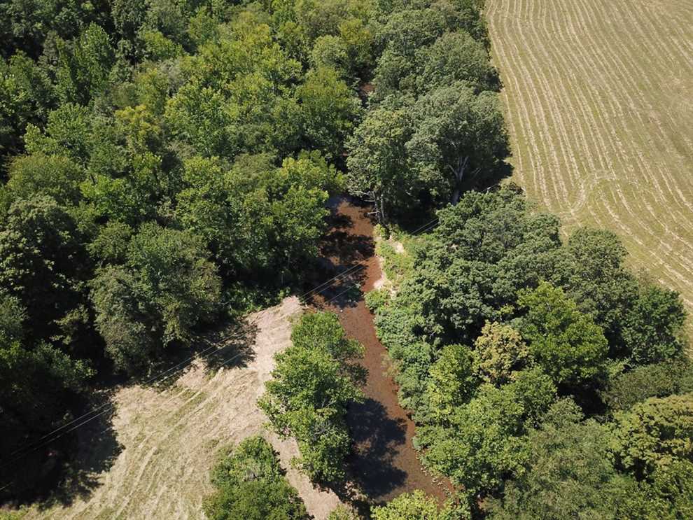 160 Acres For Sale in Doniphan, Missouri, Ripley County Real estate listing