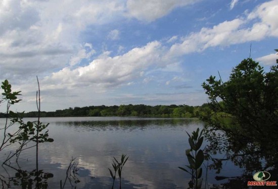 80 Acres of Land for Sale in montgomery County Kansas
