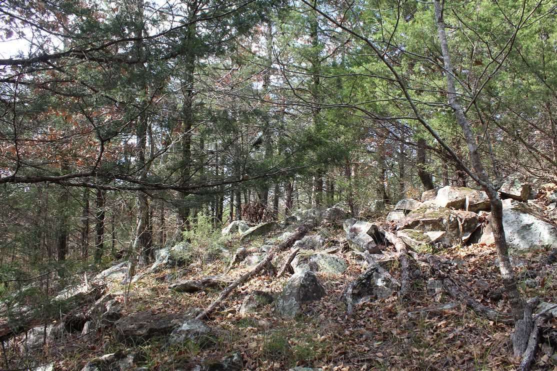 95 Acres of Land for sale in pushmataha County, Oklahoma