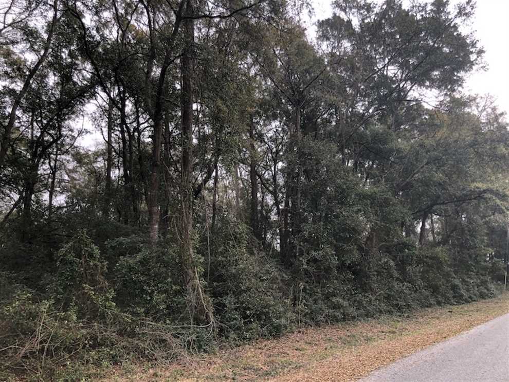 Land for sale at Twin Oak Lane