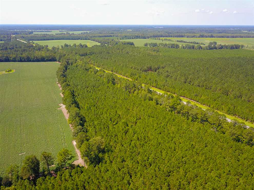 Residential and   property for sale on The Land Market