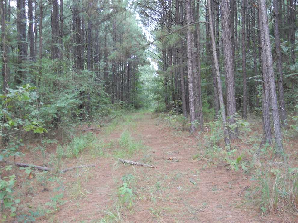 450 Acres of Recreational land for sale in Natchez, adams County, Mississippi