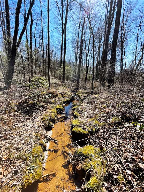 Property for sale at 00 Haystack Road