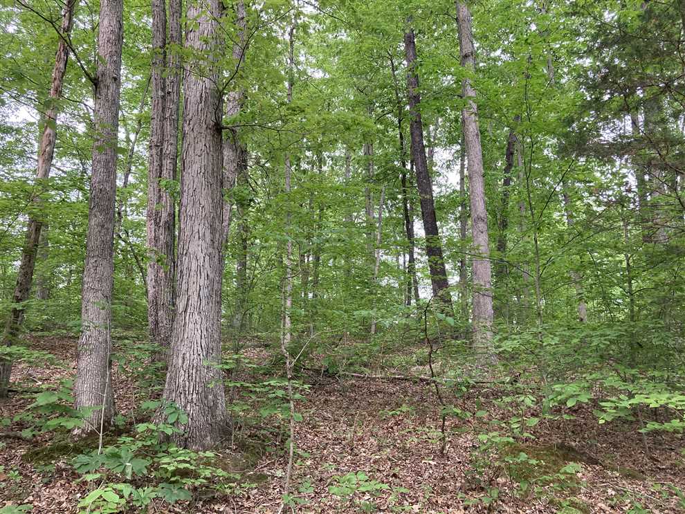 3.96 Acres of Residential land for sale in English, crawford County, Indiana