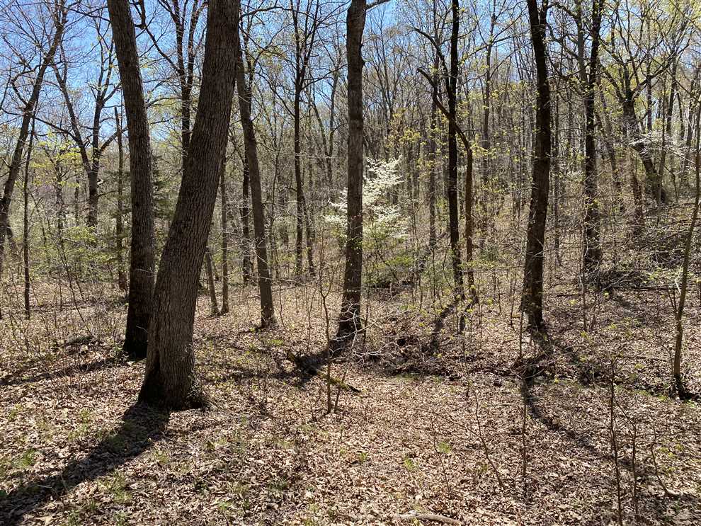 60 Acres of Residential land for sale in Versailles, morgan County, Missouri