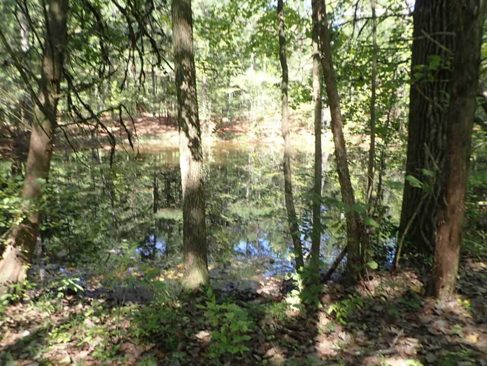 property for sale on The Land Market