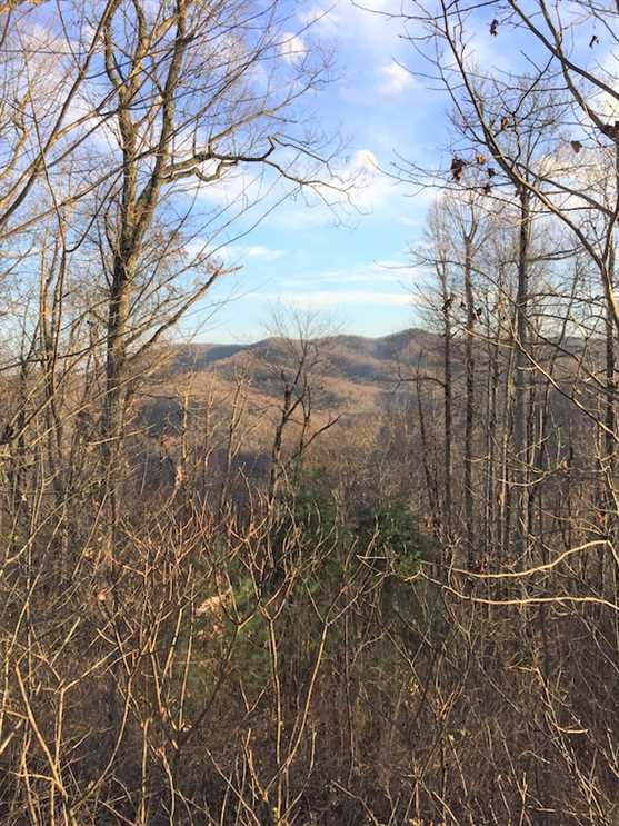 Land for sale to buy in 28714 zip code