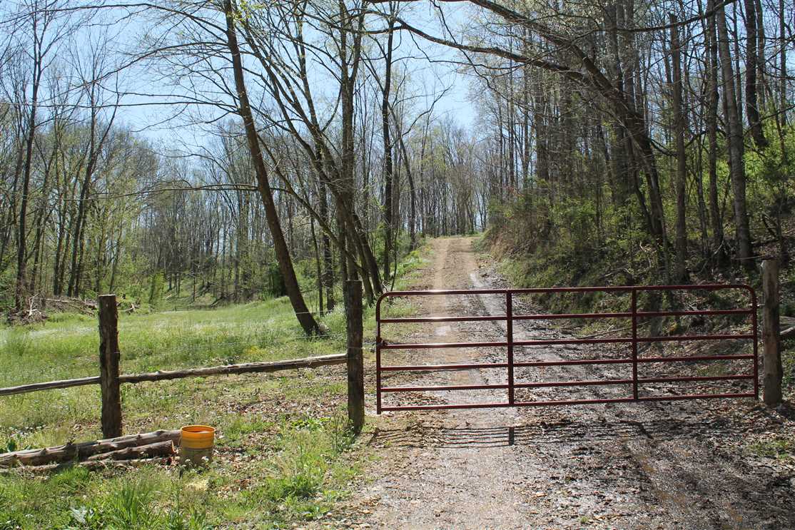 Farmland real estate available to buy