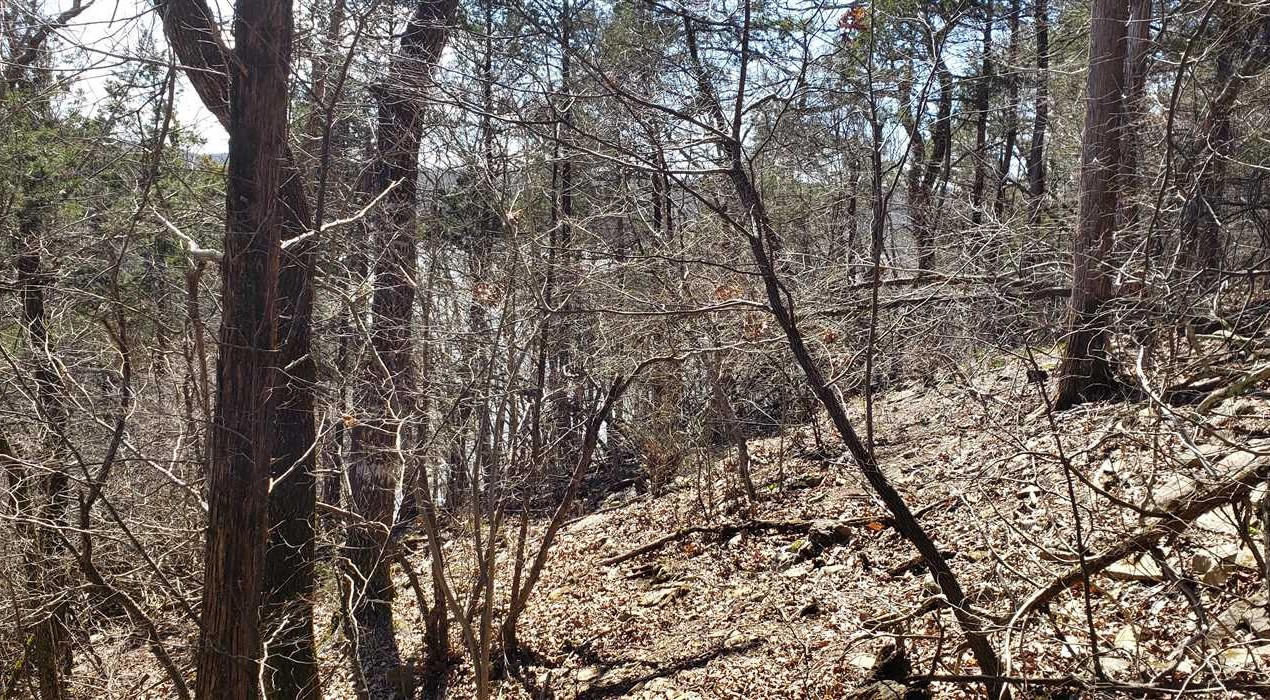 10 Acres of Recreational land for sale in forsyth, taney County, Missouri