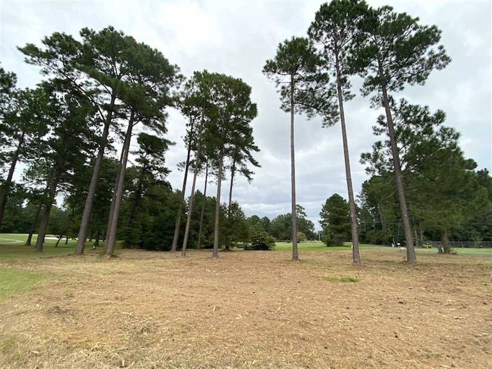 0.53 Acres of Residential land for sale in Whiteville, columbus County, North Carolina