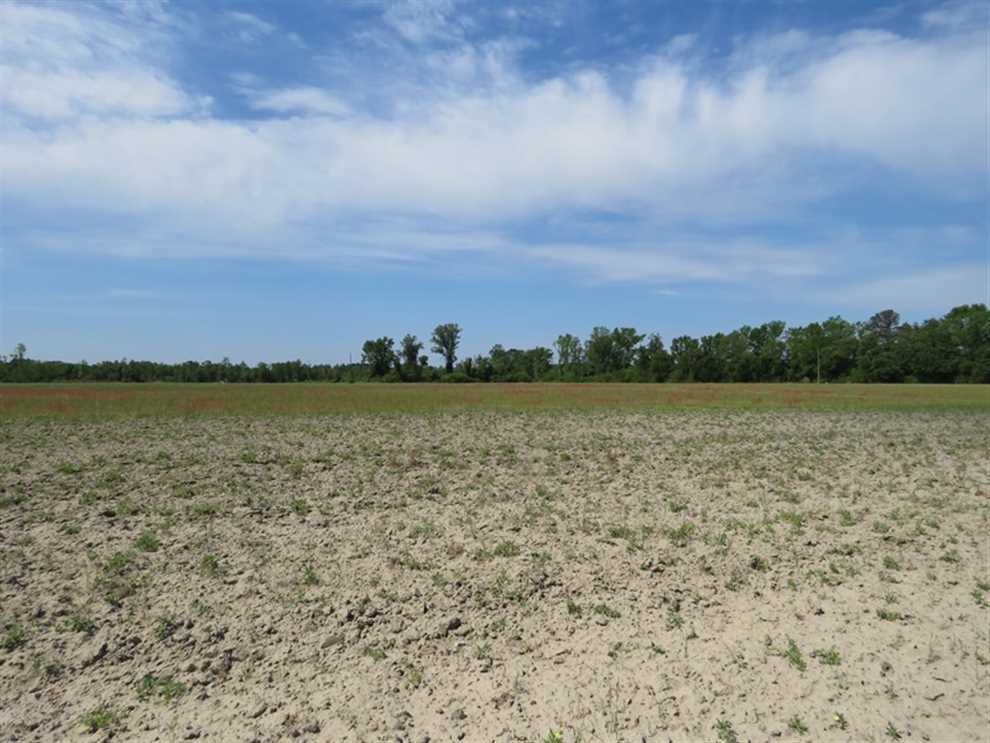 Houses and land for sale in North Carolina