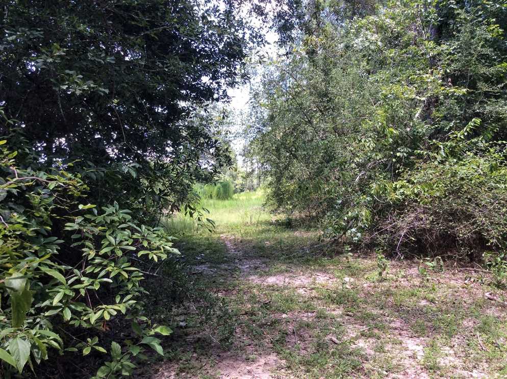 Land for sale to buy in 70653 zip code