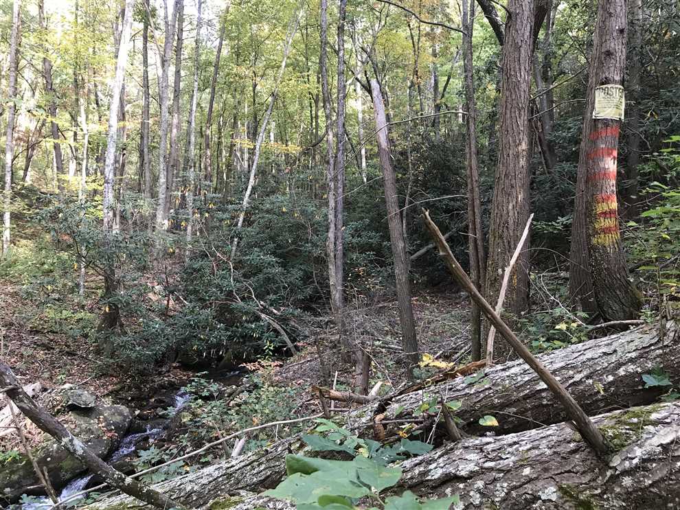 180.73 Acres of Land for sale in burke County, North Carolina