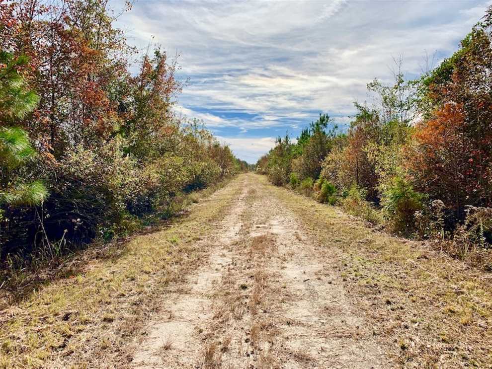 Property for sale at Off Highway 55 NC
