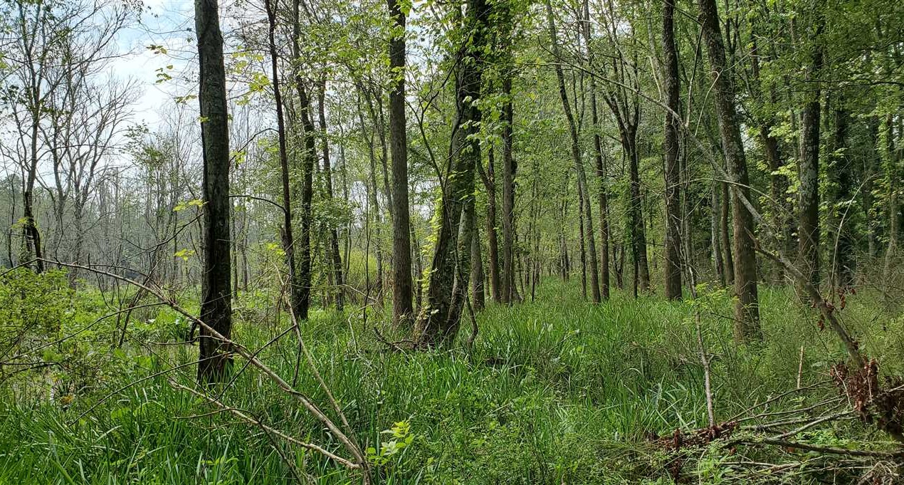 Houses and land for sale in North Carolina