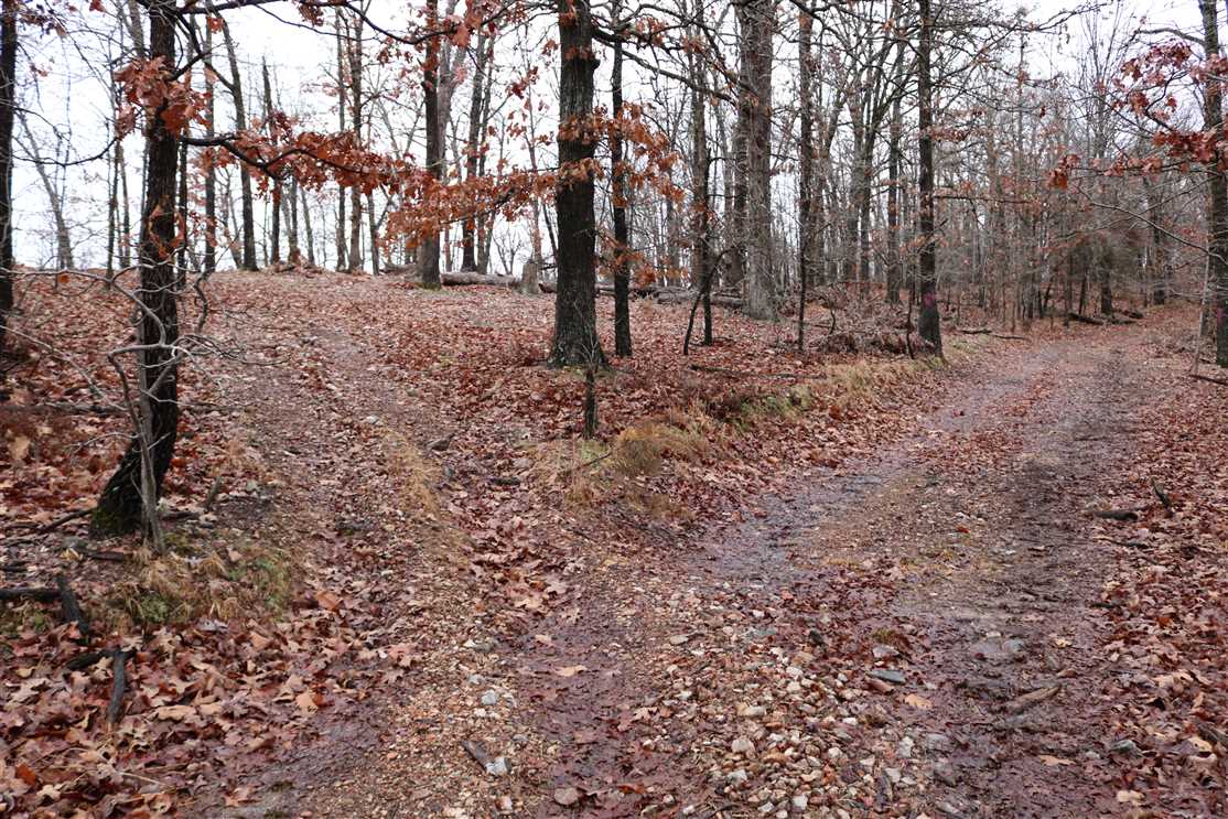 Property for sale at esculapia hollow rd