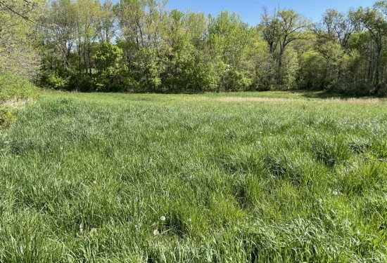 101 Acres of Land for Sale in clark County Illinois