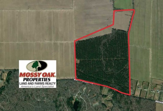 105.7 Acres of Land for Sale in chesapeake city County Virginia