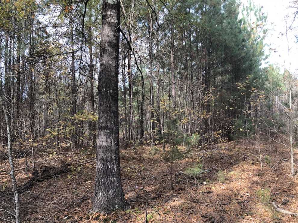 Property for sale at Off SC 34 - Mt. Hope Road