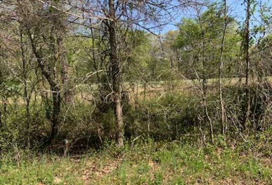 60 Acres of Land for Sale in ripley County Missouri