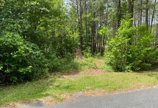 8.24 Acres of Land for Sale in macon County Georgia