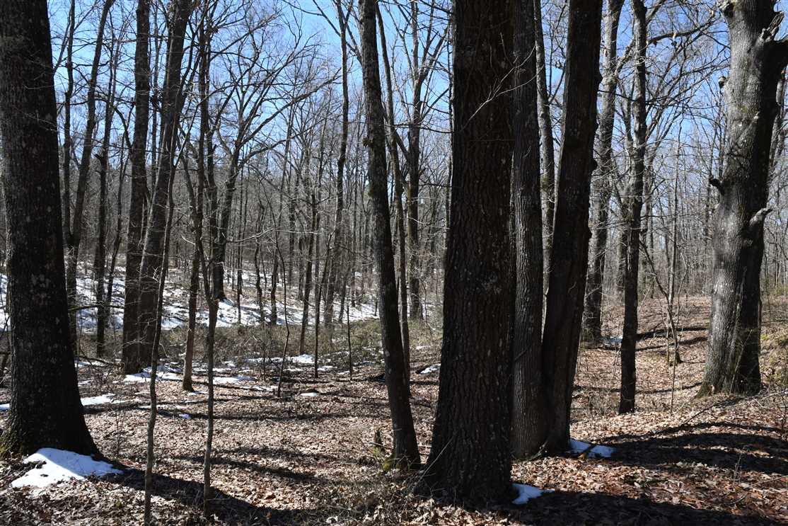160 Acres of Land for sale in faulkner County, Arkansas