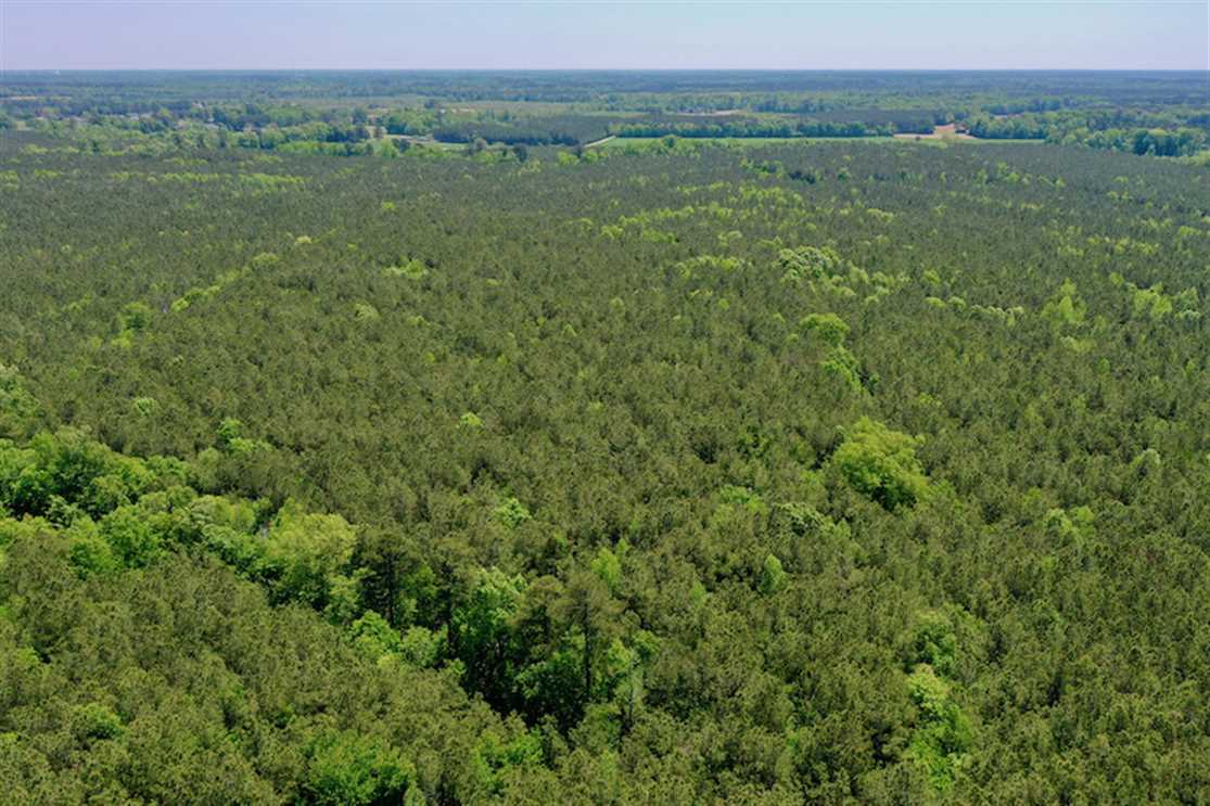 Timberland real estate available to buy