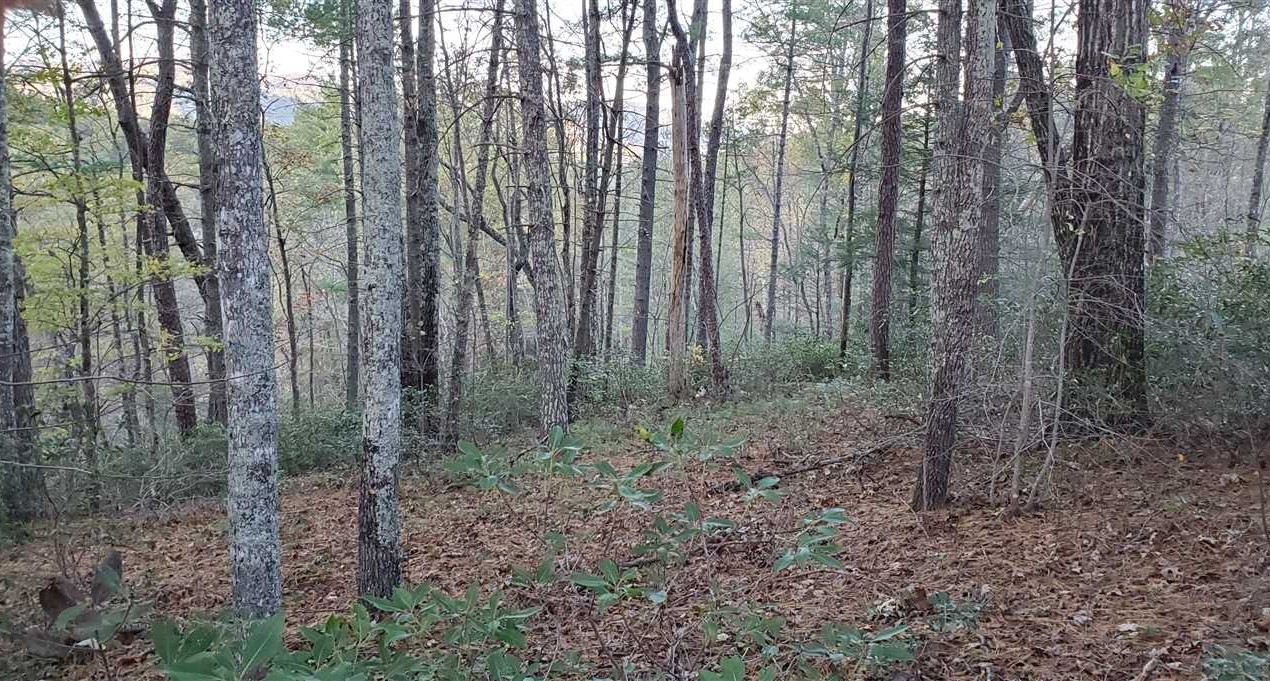 Land for sale at 000 Heartwood Forest Road #35