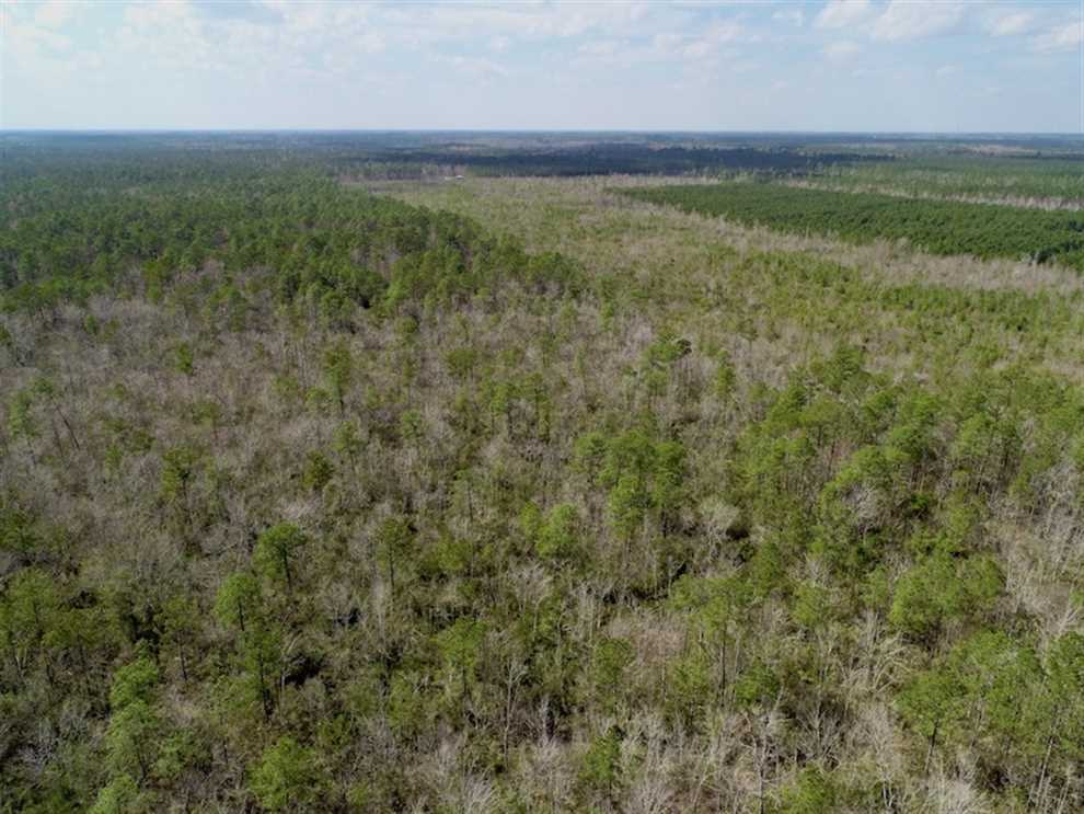 Recreational and   property for sale on The Land Market