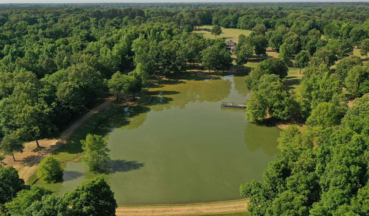 property for sale on The Land Market