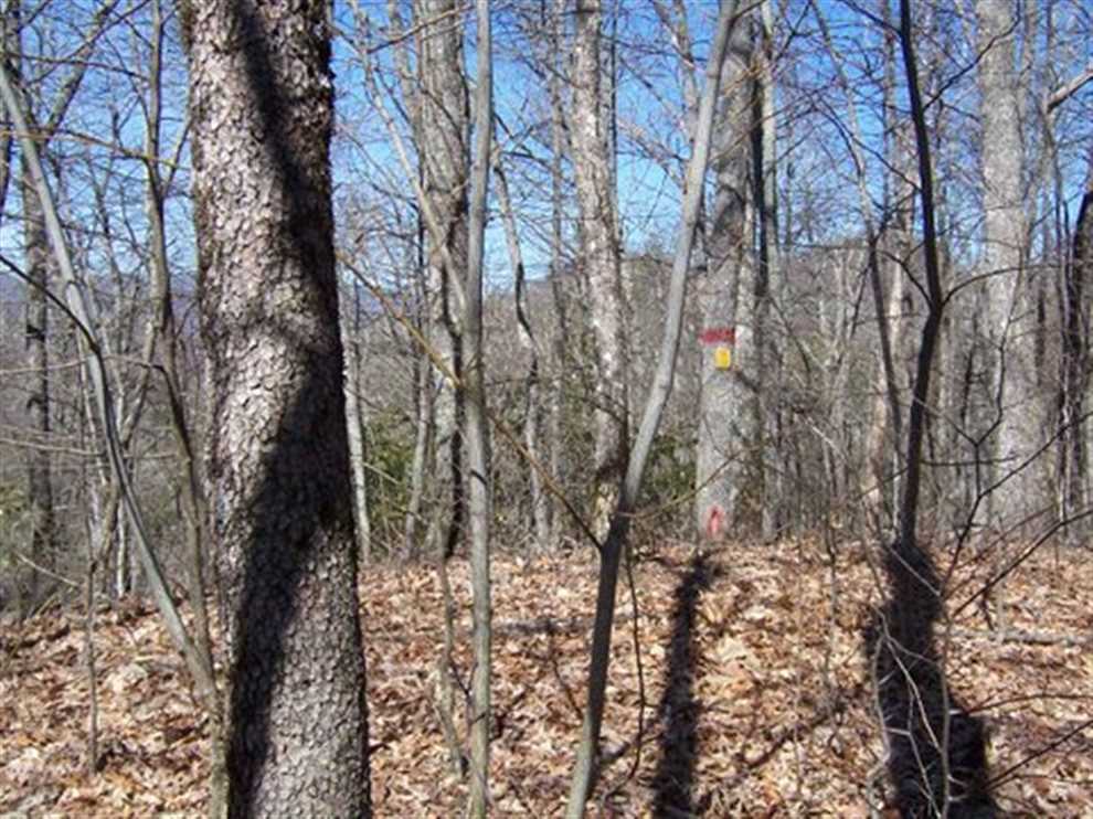 17.39 Acres of Land for Sale in graham County, North Carolina