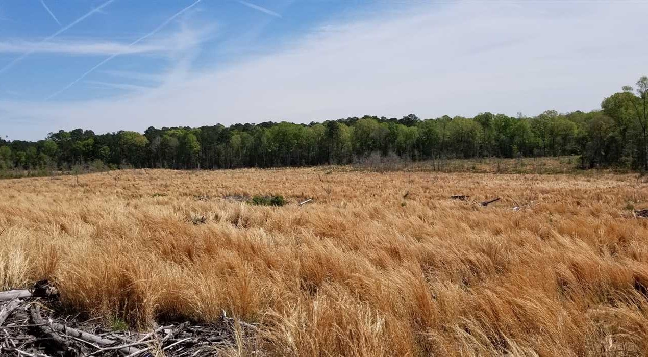 Houses and land for sale in Louisiana