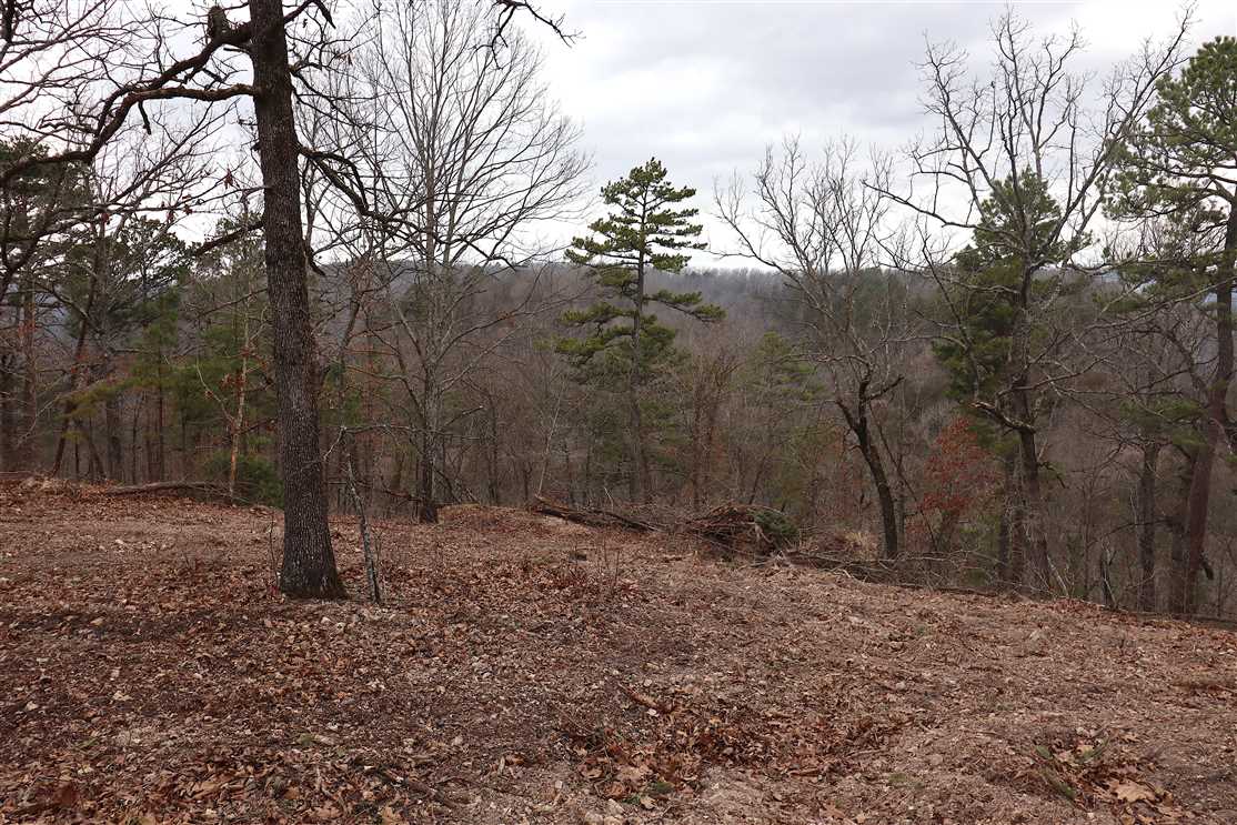 Recreational and   property for sale on The Land Market