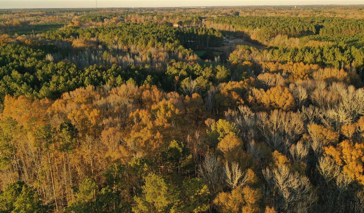 oktibbeha County, Mississippi property for sale