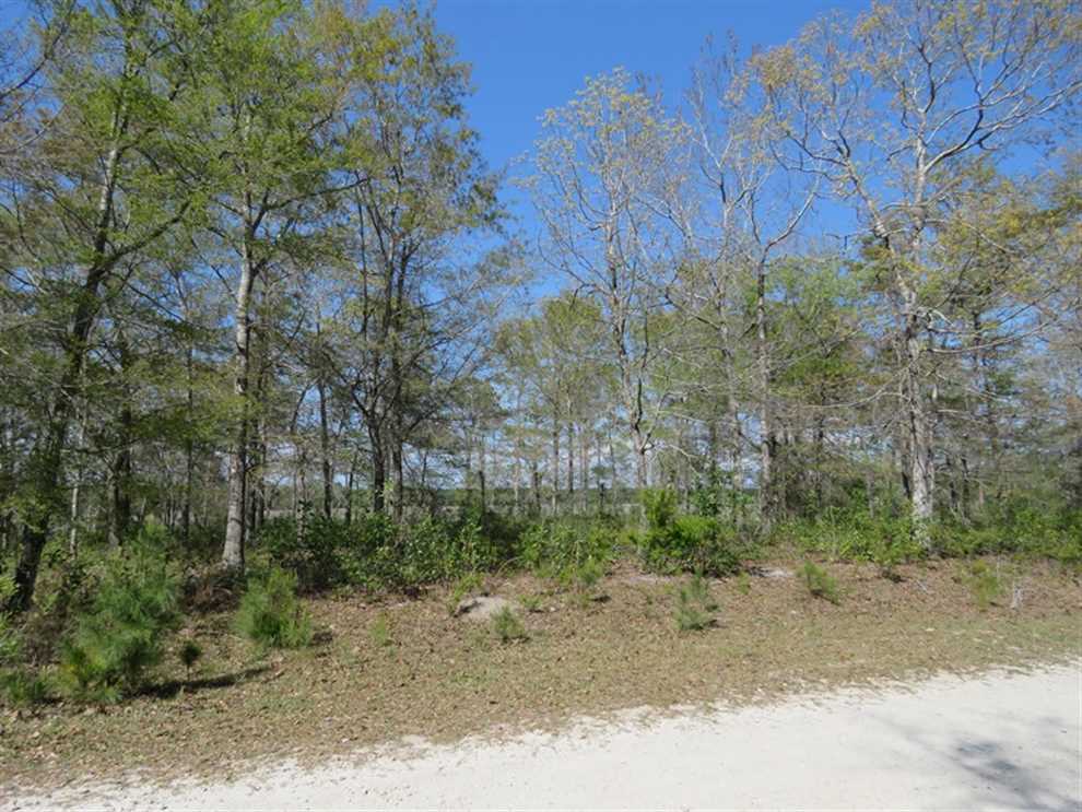 REDUCED!  0.47 Acre Residential Lot For Sale in Brunswick County NC! Real estate listing