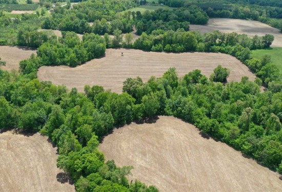 70.4 Acres of Land for Sale in henry County Tennessee