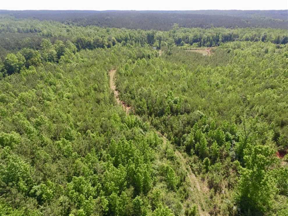 55.68 acres of Recreational and Hunting Land For Sale in Lunenburg County VA! Real estate listing