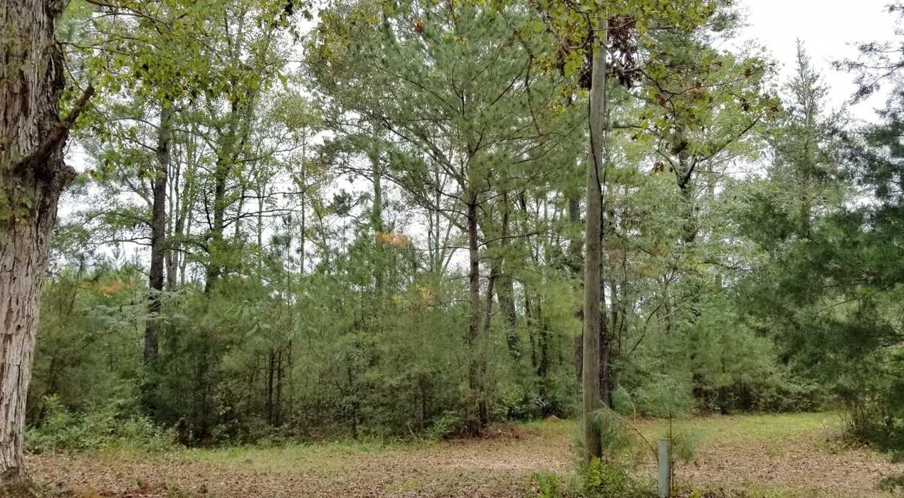 Houses and land for sale in Louisiana